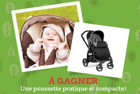 Poussette Peg Perego Book Plus NS Stone