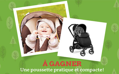 Poussette Peg Perego Book Plus NS Stone