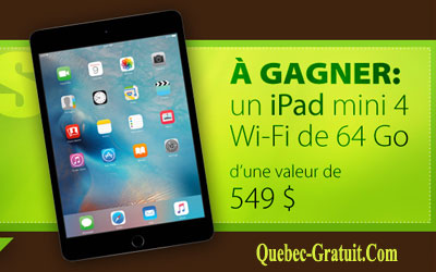 IPad mini 4 Wi-Fi de 64 Go