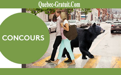 Billets pour 5 personnes au Zoo Ecomuseum