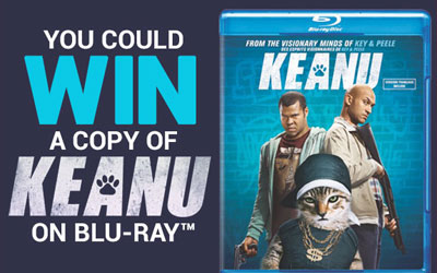 Blu-ray du film Keanu