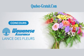 Concours gagnez 1 Bouquet de fleurs