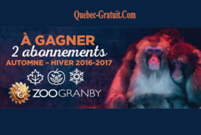 Concours gagnez des Abonnements AutomneHiver pour le Zoo Granby