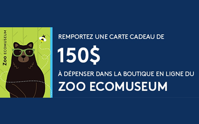 Concours gagnez 150$ à dépenser dans la boutique en ligne du Zoo Ecomuseum