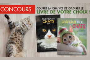 Concours gagnez des livre Chapeaux pour chats agendas chats