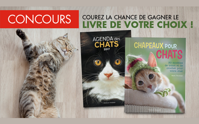 Concours gagnez des livre Chapeaux pour chats agendas chats