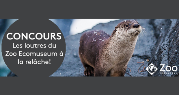 Concours gagnez un laissez-passer en famille pour Le Zoo Ecomuseum