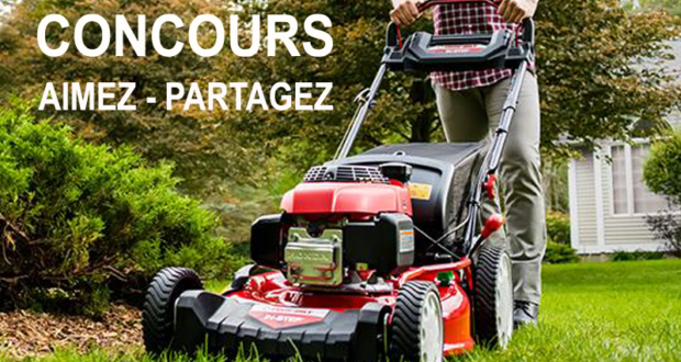 Tondeuse à gazon Troy-Bilt