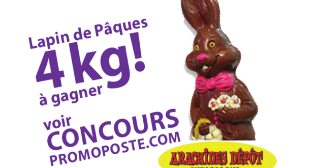 Un lapin de pâques 4kg