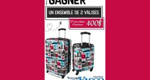 Ensemble de 2 VALISES VASCO