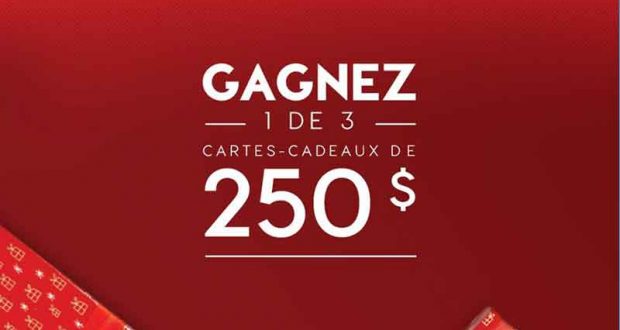 GAGNEZ 1 des 3 cartes-cadeaux Stokes de 250 $