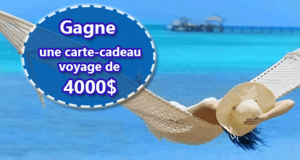 Certificat-cadeau de voyage d'une valeur de 4 000 $