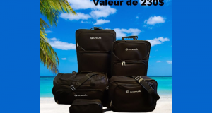 Un ensemble de 5 valises