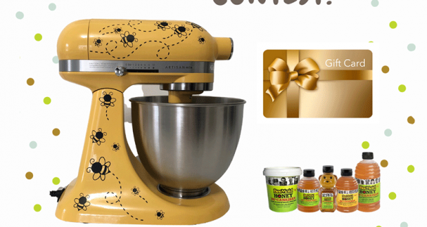 Mélangeur Kitchen Aid de 500$