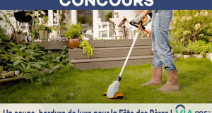 Un Coupe-bordure de luxe de marque STIHL