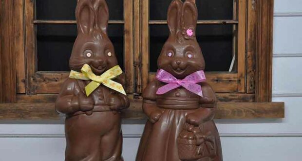 Gagnez un papa lapin ou une maman lapine de près de 5 lbs