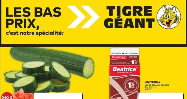 Circulaire Tigre Géant du 29 mai au 4 juin 2024