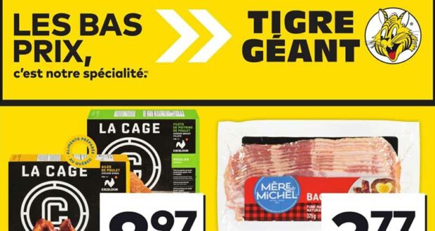 Circulaire Tigre Géant du 10 juillet au 16 juillet 2024