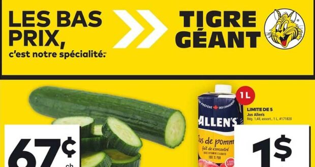 Circulaire Tigre Géant du 17 juillet au 23 juillet 2024