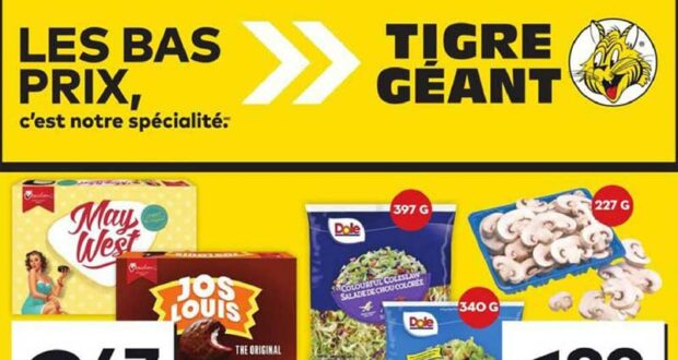 Circulaire Tigre Géant du 24 juillet au 30 juillet 2024