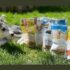 Échantillons Gratuits des friandises pour chien Caledon Farms