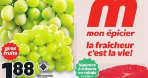 Circulaire Metro du 8 août au 14 août 2024