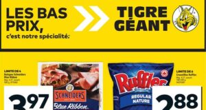 Circulaire Tigre Géant du 14 août au 20 août 2024