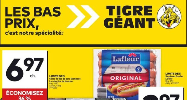 Circulaire Tigre Géant du 31 juillet au 6 août 2024