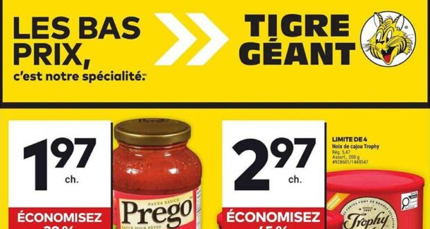 Circulaire Tigre Géant du 7 août au 13 août 2024