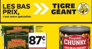 Circulaire Tigre Géant du 11 septembre au 17 septembre 2024