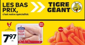 Circulaire Tigre Géant du 25 septembre au 1 octobre 2024