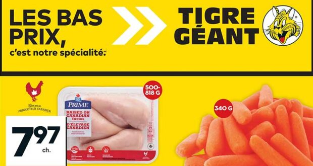 Circulaire Tigre Géant du 25 septembre au 1 octobre 2024