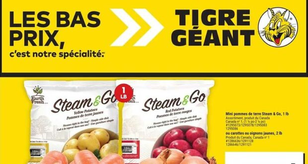 Circulaire Tigre Géant du 4 septembre au 10 septembre 2024