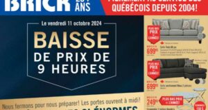 Brick Circulaire du 11 octobre au 23 octobre 2024