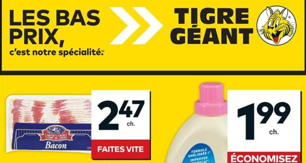 Circulaire Tigre Géant du 16 octobre au 22 octobre 2024