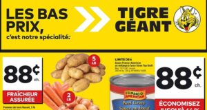 Circulaire Tigre Géant du 2 octobre au 8 octobre 2024