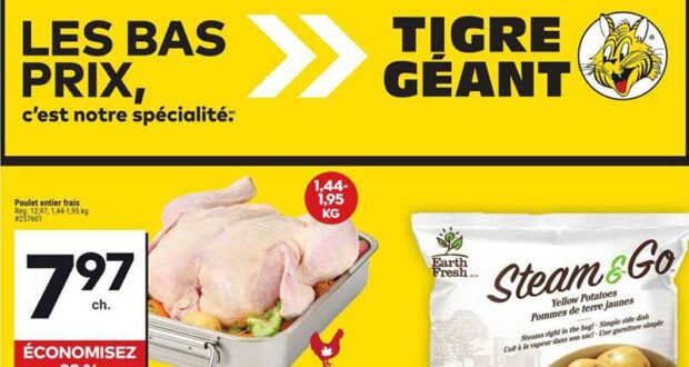 Circulaire Tigre Géant du 9 octobre au 15 octobre 2024