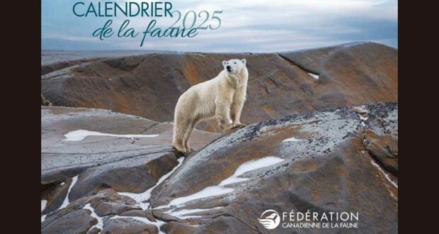 Commandez gratuitement votre calendrier de la Faune 2025