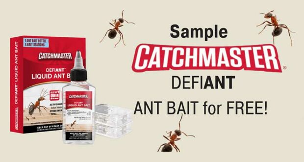 Échantillons de l'appât liquide pour fourmis Catchmaster DefiANT