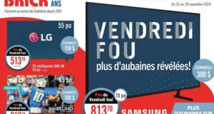 Circulaire Brick du Vendredi Fou 2024