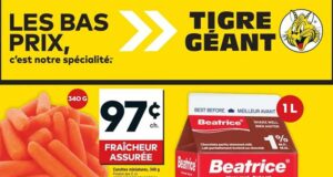 Circulaire Tigre Géant du 6 novembre au 12 novembre 2024