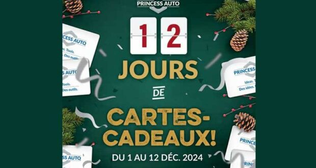 Concours Calendrier de l'Avent Princess Auto 2024