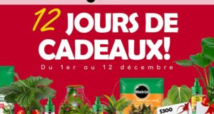 Concours Miracle-Gro & Plantsome - 12 jours de cadeaux