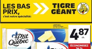 Circulaire Tigre Géant du 22 janvier au 28 janvier 2025