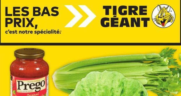 Circulaire Tigre Géant du 29 janvier au 4 février 2025