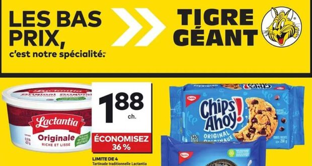 Circulaire Tigre Géant du 8 janvier au 14 janvier 2025