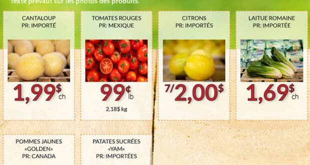 Circulaire Fruiterie 440 du 24 février au 2 mars 2025