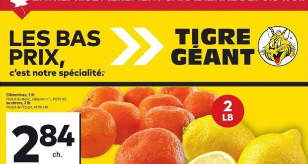 Circulaire Tigre Géant du 12 février au 18 février 2025