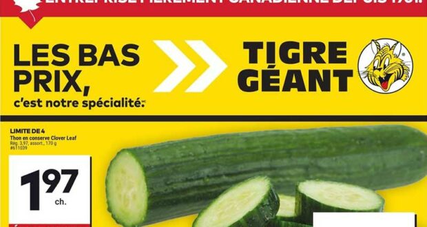 Circulaire Tigre Géant du 19 février au 25 février 2025