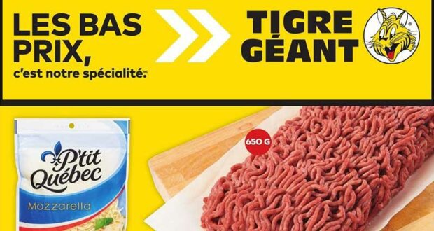 Circulaire Tigre Géant du 5 février au 11 février 2025